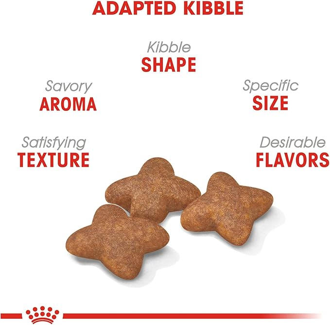 Royal Canin Small Breed Adult Dry Dog Food, 14 lb bag - PAWPICO
