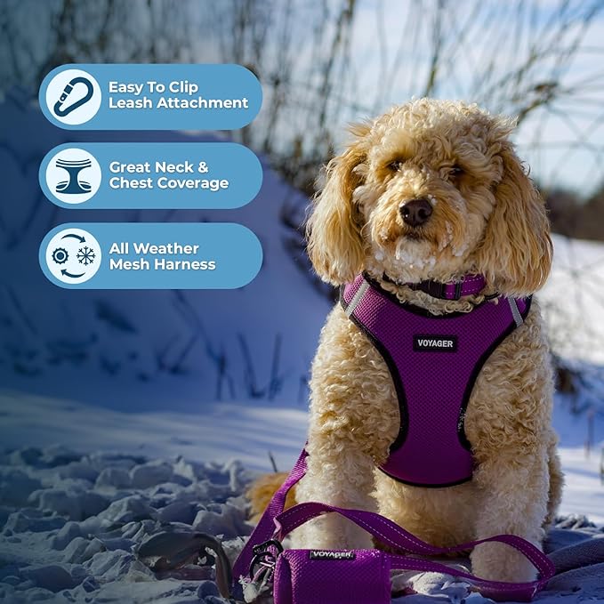 Voyager Step-in Air Dog Harness - All Weather Mesh, Reflective, No Pull Harness for Small, Medium Dogs, Cats - Secure with Hook & Loop Fastener, Buckle, Double D-Rings - Purple/Black Trim, L BestPetSuppliesLLC