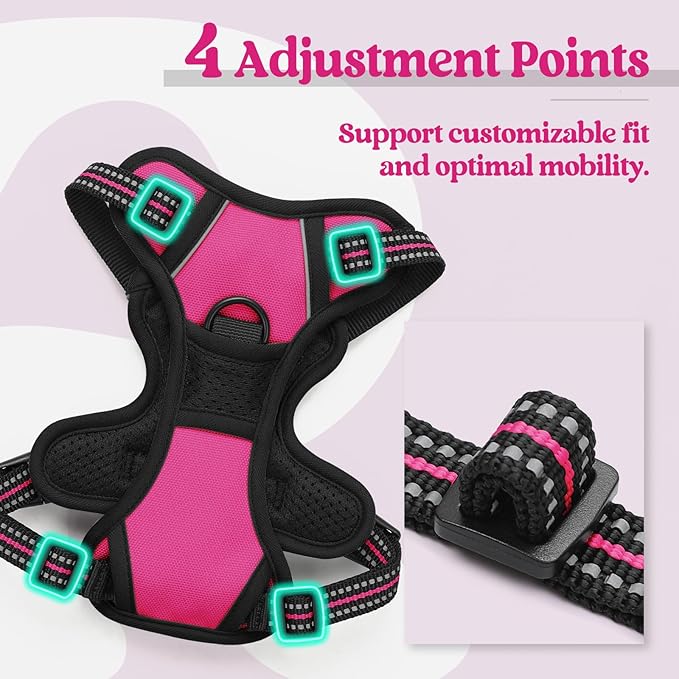 rabbitgoo Dog Harness No Pull with 2 Leash Clips, Adjustable Soft Padded, Reflective Oxford No Choke Pet Vest with Easy Control Handle for Puppy, Hot Pink, XS rabbitgoo