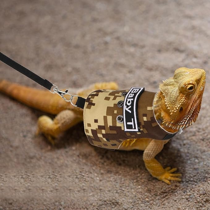 Hypeety Bearded Dragon Harness and Leash Set Adjustable Escape Proof Lizard Leash 4 Pack Outdoor Walking Training Leash and Harness for Bearded Dragon Lizard Reptiles (Coffee Color) Hypeety