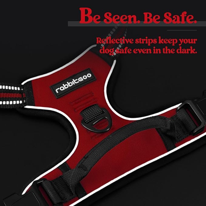 rabbitgoo Dog Harness No Pull with 2 Leash Clips, Adjustable Soft Padded, Reflective Oxford No Choke Pet Vest with Easy Control Handle for Medium Sized Dogs, Red, M rabbitgoo