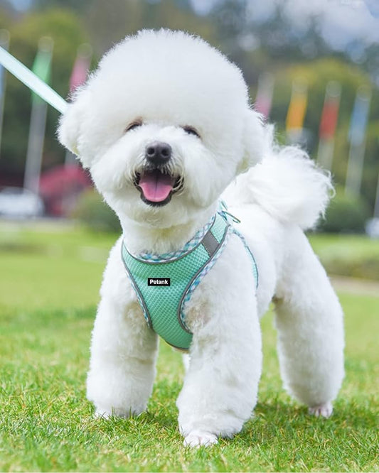 Petank Dog Harness for Small Medium Dogs No Pull, Puppy Harness and Leash Set, Easy Walk Dog Harness for Walking, Running, Training, Small Dog Harness, Medium Dog Harness (Green, XXS) Petank