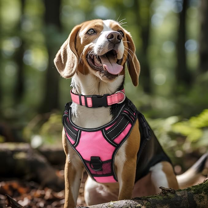 Joytale Reflective Dog Collar,Soft Neoprene Padded Breathable Nylon Pet Collar Adjustable for Small Dogs,Pink,S - PAWPICO
