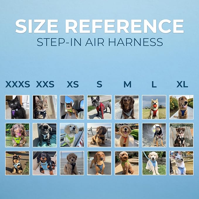 Voyager Step-in Air Dog Harness - All Weather Mesh, Reflective, No Pull Harness for Small, Medium Dogs, Cats - Secure with Hook & Loop Fastener, Buckle, Double D-Rings - Royal Blue, XXS BestPetSuppliesLLC