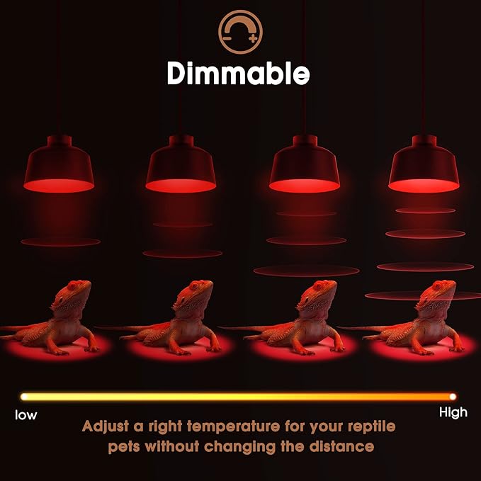 Briignite G9 Infrared Heat Lamp Bulbs for Reptile, Mini Reptile Light, Dimmable Night Red UVA Reptile Heat Lamp, 2 Pin Base Mini Heat Bulbs 50W, Bearded Dragon Turtle Lizard, 6 Pack WelcometoBriigniteenjoyyourshopping