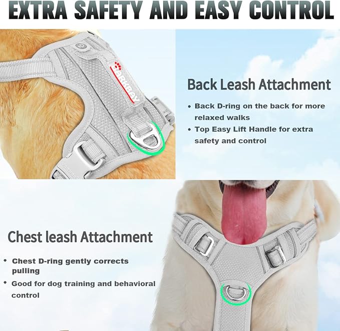 BARKBAY No Pull Dog Harness Large Reflective Dog Harness with Front Clip and Easy Control Handle for Walking Training Running with ID tag Pocket(Grey,S) BARKBAY