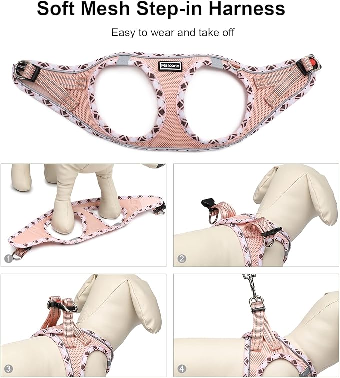 Mercano Soft Mesh Dog Harness and Leash Set, No-Chock Step-in Reflective Breathable Lightweight Easy Walk Escape Proof Vest Harnesses with Safety Buckle for Small Medium Dogs, Cats (Champagne, XL) PAWPICO