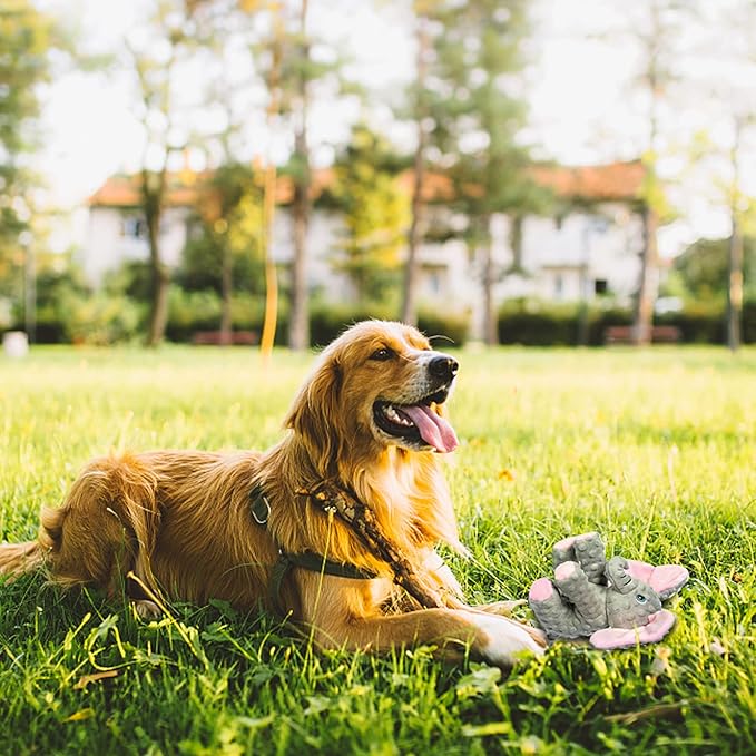 DODODOLA Dog Toys Puppy Toys Cute Squeaky Elephant Dog Toy with Crinkle Paper Stuffed Plush Animal Dog Toys to Keep Them Busy for Small Medium Large Dogs - PAWPICO