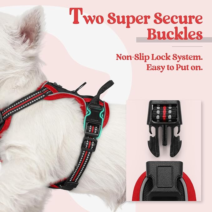 rabbitgoo Dog Harness No Pull with 2 Leash Clips, Adjustable Soft Padded, Reflective Oxford No Choke Pet Vest with Easy Control Handle for Puppy, Black & Red, XS rabbitgoo