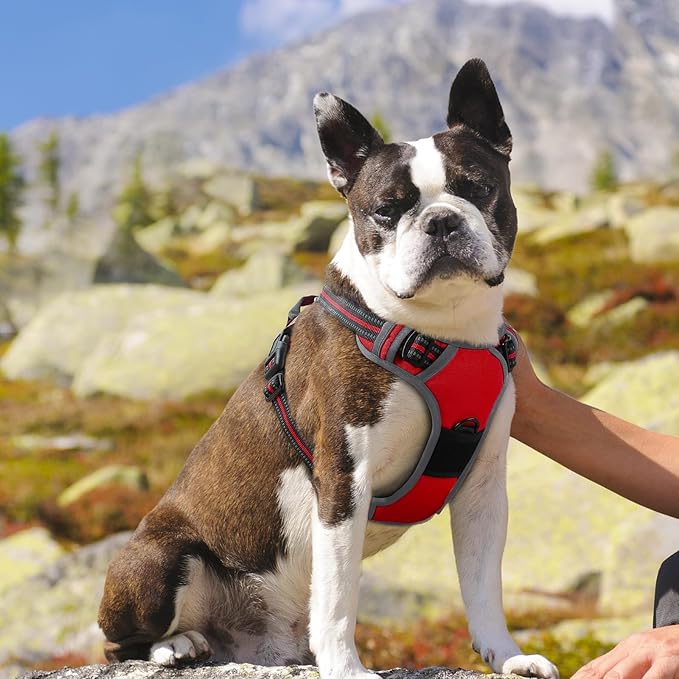 Eagloo Dog Harness Medium Sized Dog, No Pull Service Vest with Reflective Strips and Control Handle, Adjustable and Comfortable for Easy Walking, No Choke Pet Harness with 2 Metal Rings, Red, M GoExplorewithEagloo