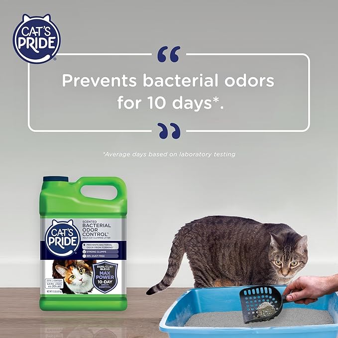 Cat's Pride Max Power: Bacterial Odor Control - Up to 10 Days of Powerful Odor Control - Strong Clumping - 99% Dust Free - Multi-Cat Litter, Fresh Scented, 15 Pounds - PAWPICO