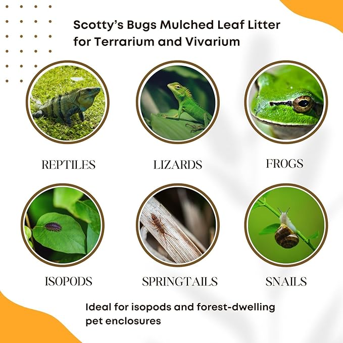 SCOTTY'S BUGS Mulched Leaf Litter for Reptiles, Isopods & Snails, Isopod Substrate, Terrarium Bedding, Organic Leaves from Natural Woodlands, 12-Ounce Pack SCOTTY%27S+BUGS