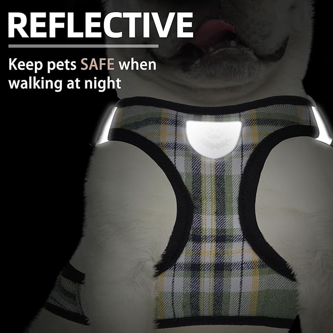 PUPTECK Adjustable Dog Harness Collar and Leash Set Step in No Pull Pet Harness for Small Medium Dogs Puppy and Cats Outdoor Walking Running, Soft Mesh Padded Reflective Vest Harnesses, Grn&YLW, S PUPTECK