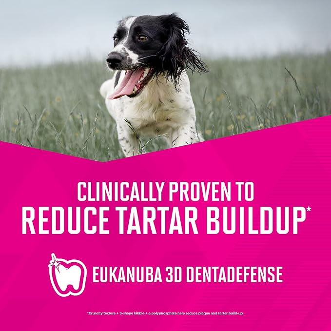 Eukanuba Adult Small Bites Dry Dog Food, 16 lb - PAWPICO