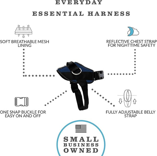 ShawnCo Essential Dog Harness, No-Pull Pet Vest with 3 Leash Clips, No Choke, Reflective, Adjustable and Padded, for Easy Walking and Training for Small, Medium and Large Dogs (Pacific Blue, XS) SHAWNCO