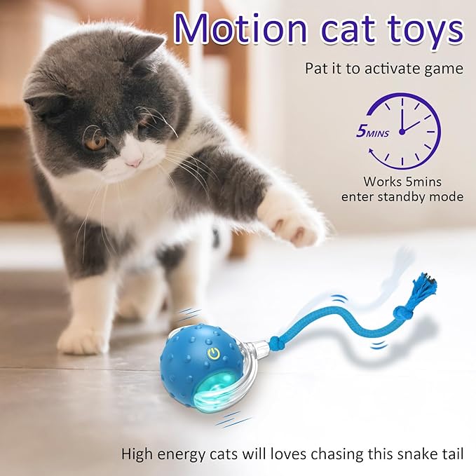 Interactive Cat Toys Ball for Indoor Cats Fast Rolling on Carpet, Chirping & Motion Activate Cat Toys (Blue) - PAWPICO