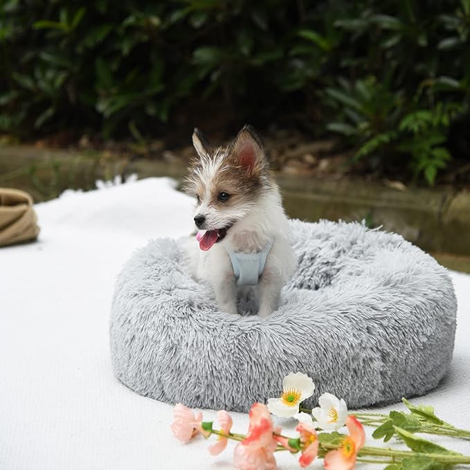 Orthopedic Dog Bed Small,Puppy Bed Washable,23 inches Donut Fluffy Small Pet Beds,Calming Anti Anxiety Round Fits up to 25 lbs Soft Warm Pets Beds for Puppies Indoor,Grey - PAWPICO