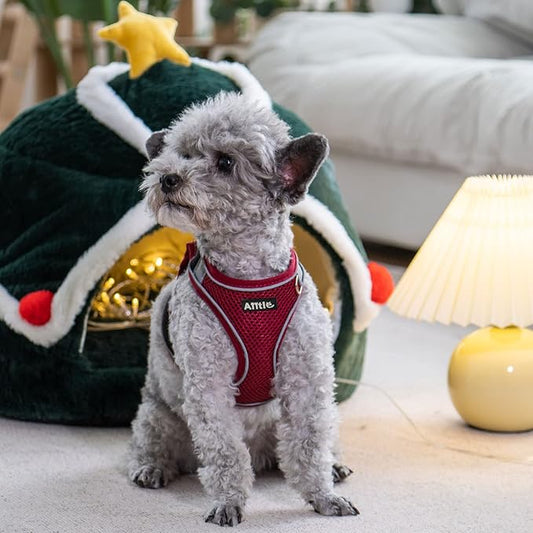 AIITLE Escape Proof Dog Harness - Step in Adjustable Dog Harness No Choke Over with Breathable Mesh and Quick-Release Buckle for Spring- Outdoor Walking, Camping, Training for Medium Dogs Burgundy XL AIITLE-FORPETSBETTERLIFE