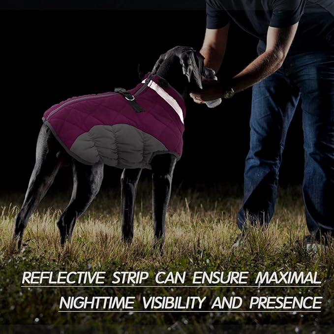 FUAMEY Dog Coat,Warm Dog Jacket Winter Coat Paded Dog Fleece Vest Reflective Dog Cold Weather Coats with Built in Harness Waterproof Windproof Dog Snow Jacket Clothes with Zipper Rose Red Small - PAWPICO