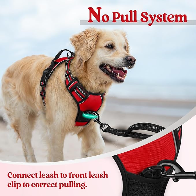 rabbitgoo Dog Harness No Pull with 2 Leash Clips, Adjustable Soft Padded, Reflective Oxford No Choke Pet Vest with Easy Control Handle for Medium Sized Dogs, Red, M rabbitgoo