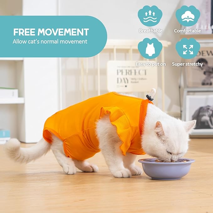 Avont Cat Recovery Suit - Post-Surgery Onesie for Cats, Alternative to Cone of Shame, Protective Spay Suit for Female Kitten, Ideal for Healing and Skin Conditions -Orange(S) Avont