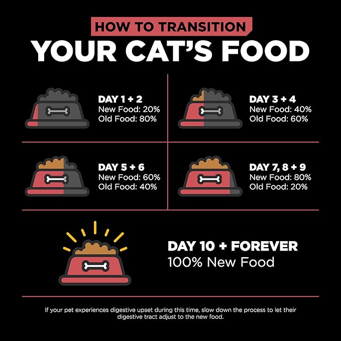 Go! Solutions Sensitivities Limited Ingredient, Grain-Free Dry Cat Food, Salmon Recipe for Sensitive Stomach, 12 lb Bag - PAWPICO