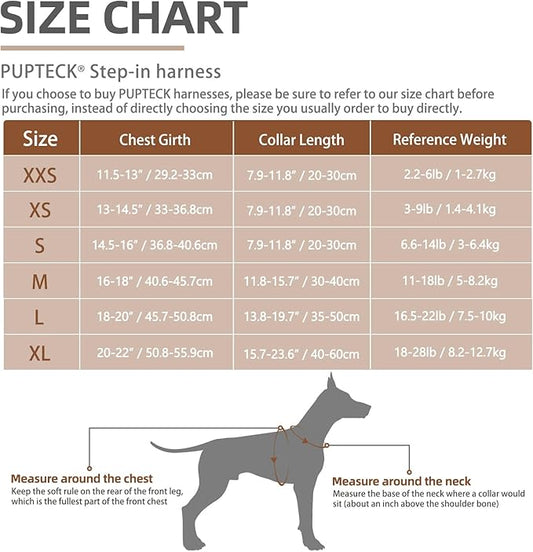 PUPTECK Adjustable Dog Harness Collar and Leash Set Step in No Pull Pet Harness for Small Medium Dogs Puppy and Cats Outdoor Walking Running, Soft Mesh Padded Reflective Vest Harnesses, Turquoise XS PUPTECK