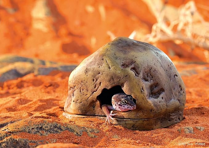 Exo Terra Gecko Cave for Reptiles and Amphibians, Reptile Hideout, Medium, PT2865 ExoTerra
