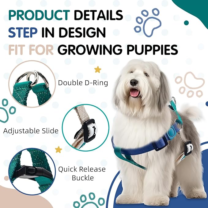 Tri-Color Dog Harness, Adjustable Step-in Design no Pull Dog Harness for Small Dogs, Heavy Duty Puppy Harness, Easy for Walking Dog Harness for Small Dogs, xs Dog Harness Green Blue White Pawhuggies