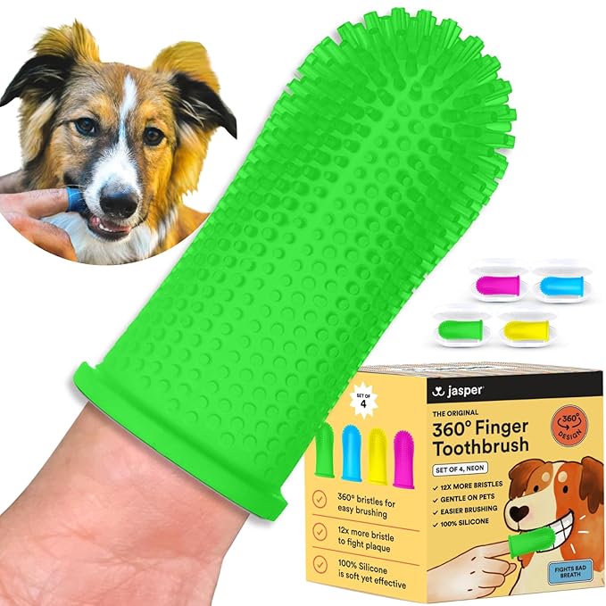 Jasper Dog Toothbrush, 360º Dog Tooth Brushing Kit, Cat Toothbrush, Dog Teeth Cleaning, Dog Finger Toothbrush, Dog Tooth Brush for Small & Large Pets, Dog Toothpaste Not Included, 4-Pack Neon JASPER%C2%AE