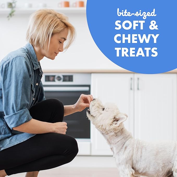 Buddy Biscuits Trainers 10 oz. Pouch of Training Bites Soft & Chewy Dog Treats Made with Bacon Flavor - PAWPICO