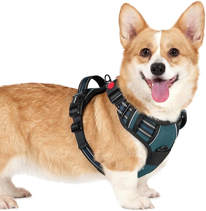 rabbitgoo Dog Harness Small Sized, No Pull Pet Harness with 3 Buckles, Adjustable Soft Padded Pooch Vest with Instant Control Handle, Easy Walking Reflective Pet Vest for Small Dogs, Blue Coral, S rabbitgoo