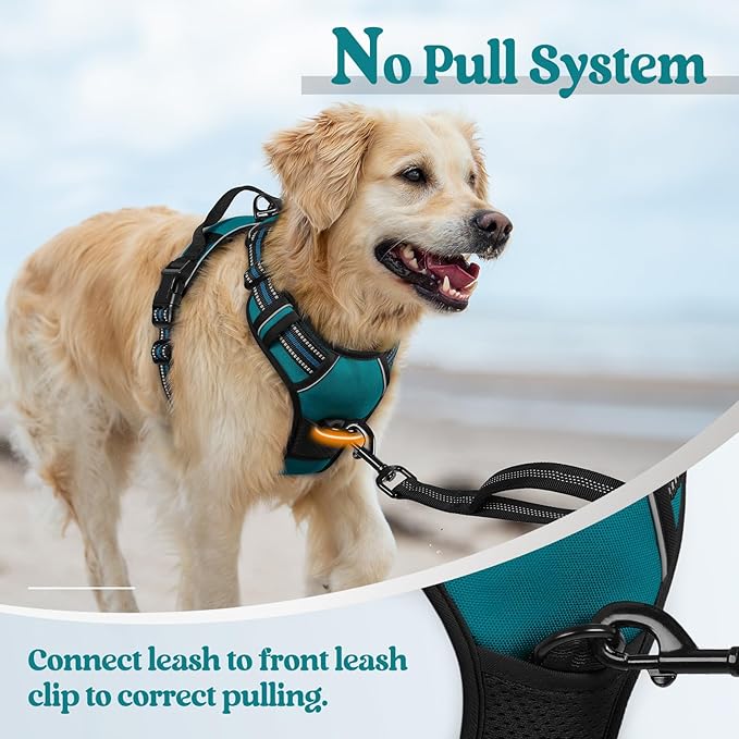 rabbitgoo Dog Harness No Pull with 2 Leash Clips, Adjustable Soft Padded, Reflective Oxford No Choke Pet Vest with Easy Control Handle for Large Dogs, Blue Coral, XL rabbitgoo