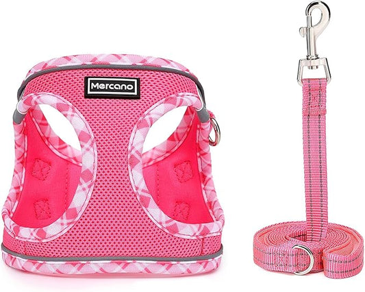 Mercano Soft Mesh Dog Harness and Leash Set, No-Chock Step-in Reflective Breathable Lightweight Easy Walk Vest Harnesses with Safety Buckle for Small Medium Dogs, Cats (L, Fuchsia) PAWPICO
