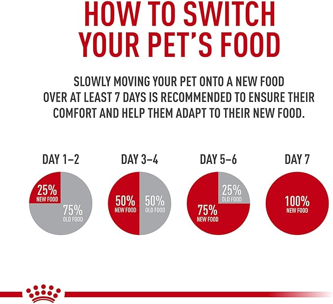 Royal Canin Canine Health Nutrition Adult In Gel Canned Dog Food, 13.5 oz can (6-pack) - PAWPICO