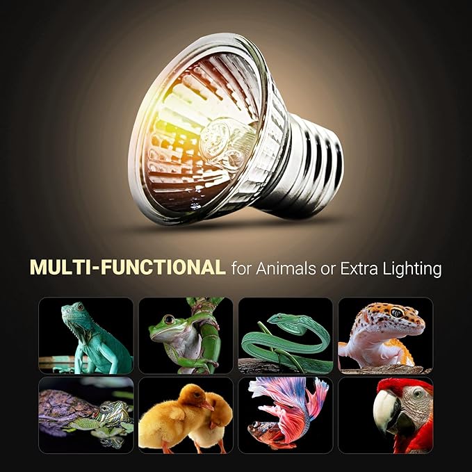 CALPALMY 4-Pack 25W UVA+UVB Reptile Heat Bulbs - Heat and Light for Reptiles and Amphibian Tanks, Terrariums and Cages - Works with Turtle Lizard Various Amphibian Terrarium Heat Lamp Fixtures CalPalmy