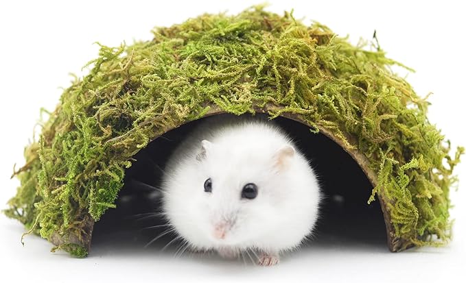 Hamster Hideaway,Hamster Hideout,Mossy Cave Hide,Hamster House/Hides,Hamster Cage Accessories for Gguinea Pig/Hedgehogs/Gliders/Rats/Mice and Other Small Animals (Small) SanmooAio