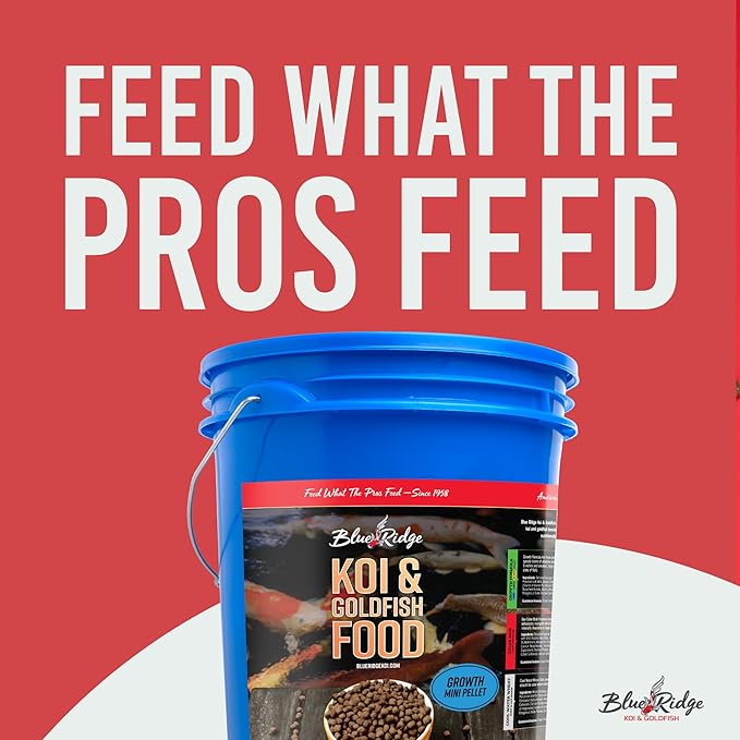 Blue Ridge Koi Fish Food 14lb - Koi Food Mini Growth Formula Goldfish Food, Premium Fish Food for Ponds, Ponds Fish Food, Koi Food Fall and Winter Fish Food, Floating Pond Pellets Fish Food BlueRidgeFishHatchery