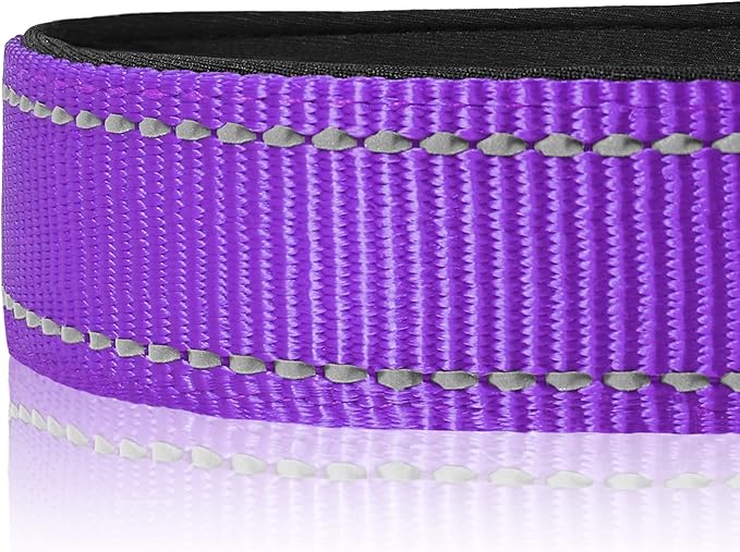 Joytale Reflective Dog Collar,Soft Neoprene Padded Breathable Nylon Pet Collar Adjustable for Puppy and Small Dogs,Purple,XS - PAWPICO