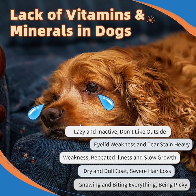 Dog Multivitamin Powder with Glucosamine, Dog Vitamins and Supplements for Immune Support, Dog Skin and Coat Supplement with Omega 3 for Allergy Relief, Probiotics for Dog Support Digestive Health ZEBORA