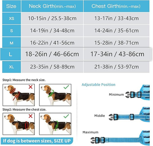 Timos Dog Harness for Lage Dogs No Pull,Front Clip Dog Walking Harness with Reflective Adjustable Soft Padded Vest and Easy Control Handle,No-Choke Pet Harness with 2 Metal Rings,Morning,L Timos