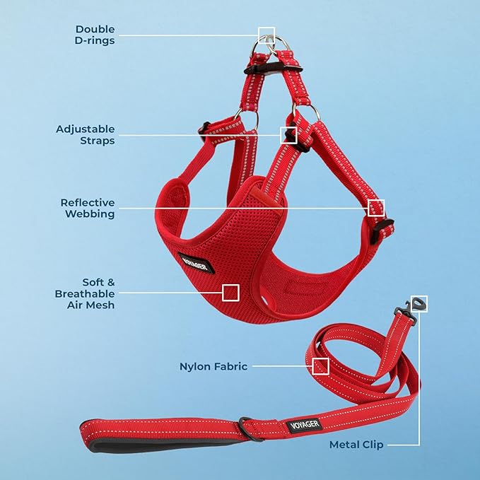 Best Pet Supplies Voyager Adjustable Dog Harness Leash Set with Reflective Stripes for Walking Heavy-Duty Full Body No Pull Vest with Leash D-Ring, Breathable All-Weather - Harness (Red), M BestPetSuppliesLLC