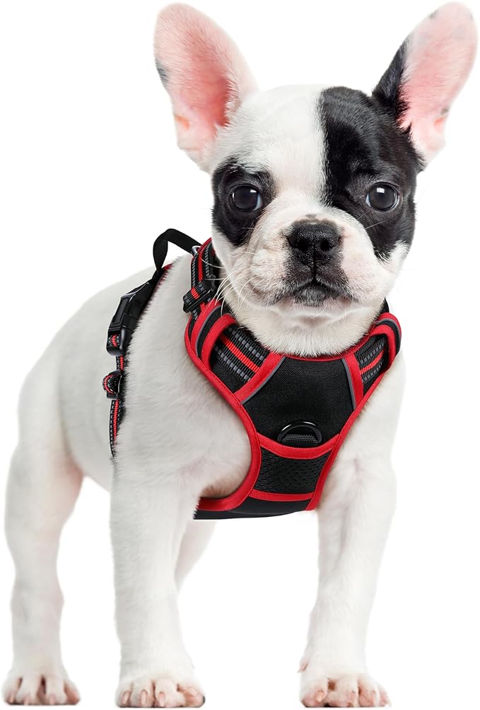 rabbitgoo Dog Harness No Pull with 2 Leash Clips, Adjustable Soft Padded, Reflective Oxford No Choke Pet Vest with Easy Control Handle for Small Dogs, Black & Red, S rabbitgoo
