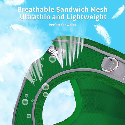 AIITLE Easy Walk Dog Harness and Leash Set - Pet Supply No Pull, Step in Adjustable Dog Harness with Padded Vest for Spring, Dog Harness No Choke Over, Easy to Put on Medium Dogs Green L AIITLE-FORPETSBETTERLIFE