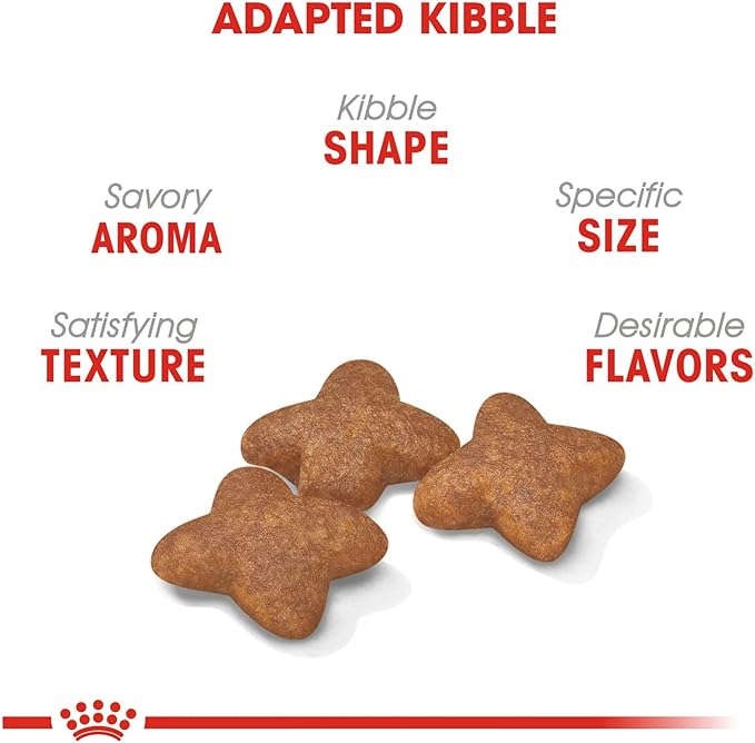 Royal Canin Small Breed Adult Dry Dog Food, 2.5 lb bag - PAWPICO
