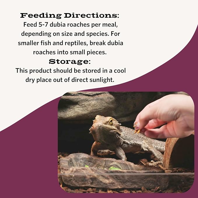 Fluker's Freeze Dried Dubia Roaches, Ideal for Lizards, Reptiles, Birds, Fish, Hedgehogs, 1.7 oz Flukers