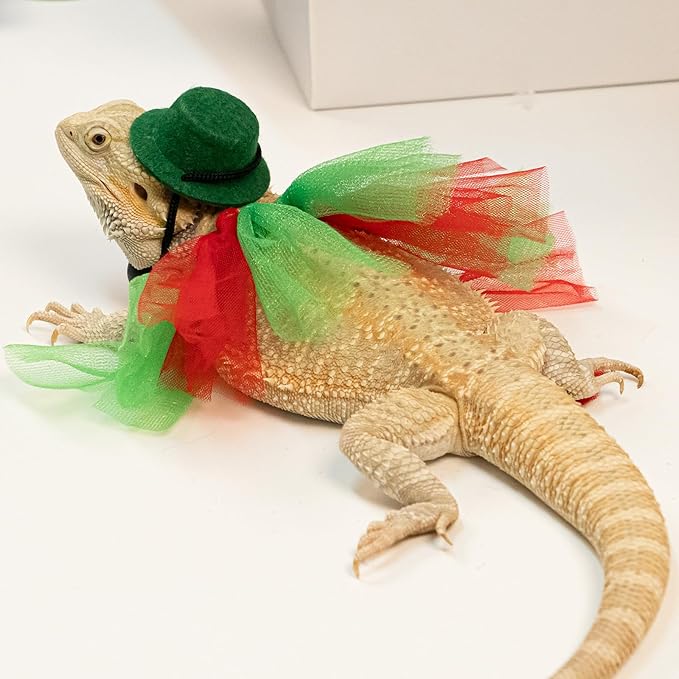 Bearded Dragon Christmas Costume Tutu Skirt Bowler Hat Leash Harness Reptile Christmas Cosplay Accessories Set for Lizard Leopard Gecko(Green) WODISON