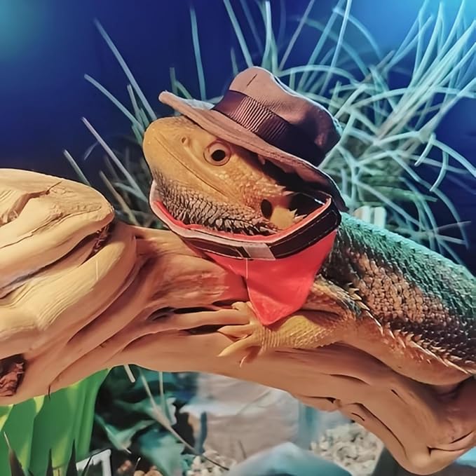 Bearded Dragon Cowboy Costume - Adjustable Lizard Cowboy Hat and Bandana Scarf Reptile Halloween Costume Photo Props for Gecko Chameleon Amphibians Ferret Hamster (Brown) SEZDEKI