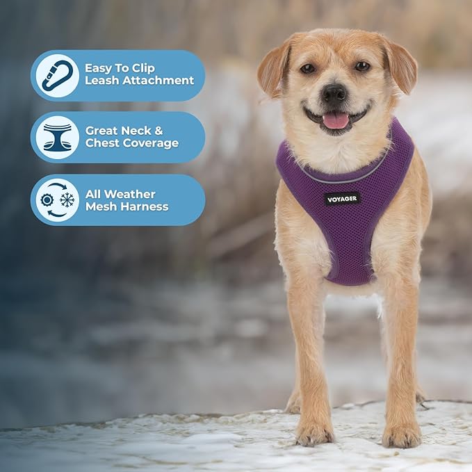 Voyager Aerolite No Pull Mesh Dog Harness with Lightweight, Soft, Breathable, Reflective Stitching, and Adjustable Straps for Walking, Running, Training, Heavy Duty and Durable - Purple, L BestPetSuppliesLLC