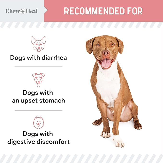 Chew + Heal Labs Anti Diarrhea for Dogs - 2 oz. of Stop The Diarrhea Liquid Supplement with Kaolin - for Diarrhea and Upset Stomach Relief - Made in The USA ChewHeal